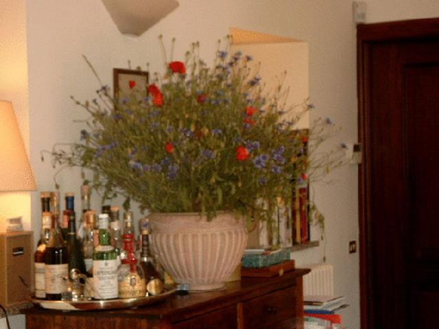 Residenza Del Lago Candia Canavese Екстер'єр фото