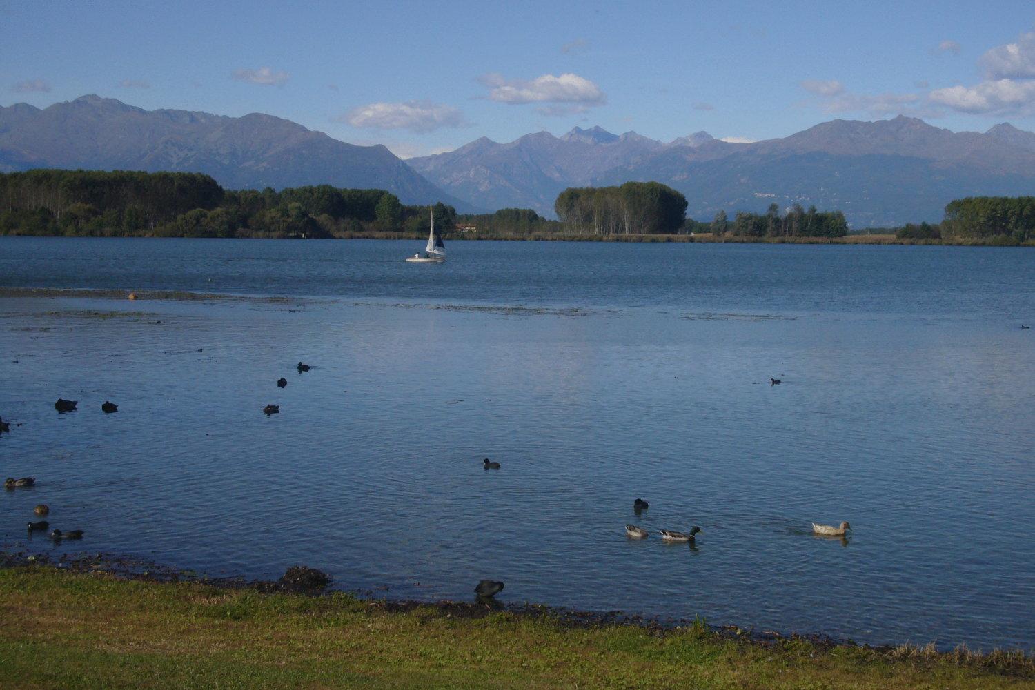 Residenza Del Lago Candia Canavese Екстер'єр фото